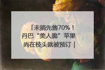 未摘先售70%！丹巴“美人脆”苹果尚在枝头就被预订｜长征路上看四川