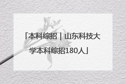 本科综招｜山东科技大学本科综招180人