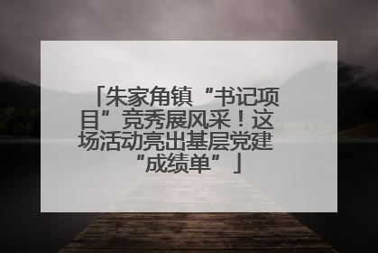 朱家角镇“书记项目”竞秀展风采！这场活动亮出基层党建“成绩单”