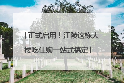 正式启用！江陵这栋大楼吃住购一站式搞定