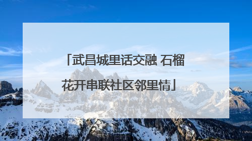 武昌城里话交融 石榴花开串联社区邻里情