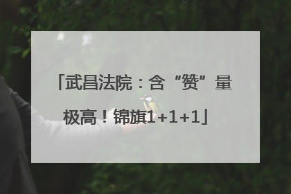 武昌法院：含“赞”量极高！锦旗1+1+1