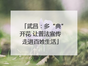 武昌：多“典”开花 让普法宣传走进百姓生活