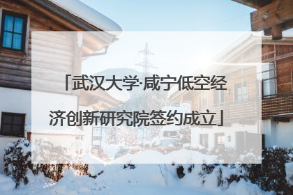 武汉大学·咸宁低空经济创新研究院签约成立