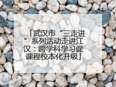 武汉市“三走进”系列活动走进江汉：跨学科学习促课程校本化升级