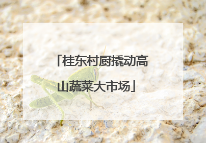 桂东村厨撬动高山蔬菜大市场