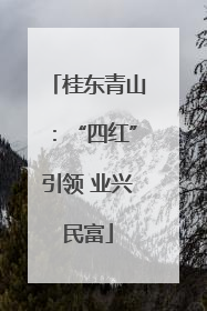 桂东青山：“四红”引领 业兴民富