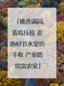 桃香满园、蓝莓压枝 麦熟时节水果也丰收 产业路宽富农家