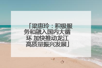 梁惠玲：积极服务和融入国内大循环 加快推动龙江高质量振兴发展