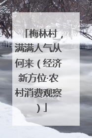 梅林村，满满人气从何来（经济新方位·农村消费观察）
