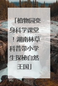 植物园变身科学课堂！湖南林草科普带小学生探秘自然王国