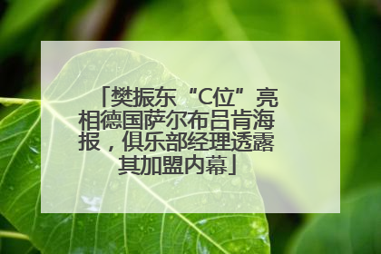 樊振东“C位”亮相德国萨尔布吕肯海报，俱乐部经理透露其加盟内幕