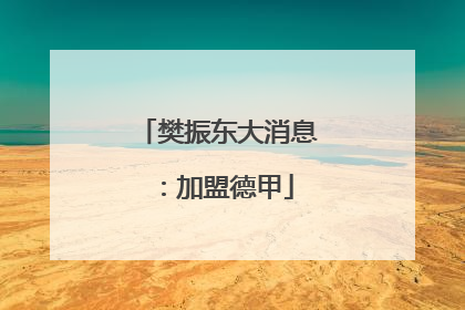 樊振东大消息：加盟德甲