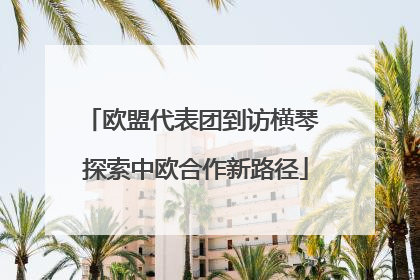 欧盟代表团到访横琴 探索中欧合作新路径
