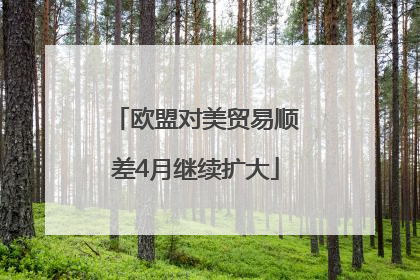 欧盟对美贸易顺差4月继续扩大