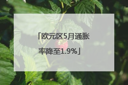 欧元区5月通胀率降至1.9%