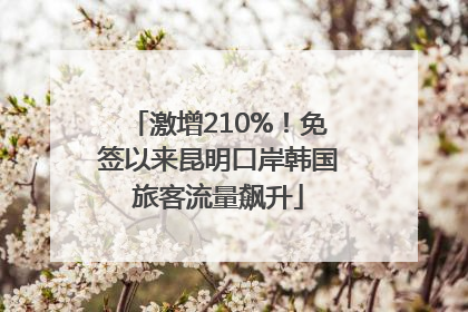激增210%！免签以来昆明口岸韩国旅客流量飙升