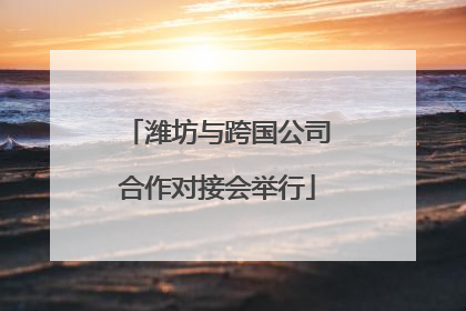 潍坊与跨国公司合作对接会举行