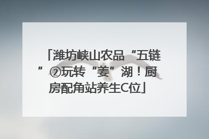 潍坊峡山农品“五链”②玩转“姜”湖！厨房配角站养生C位