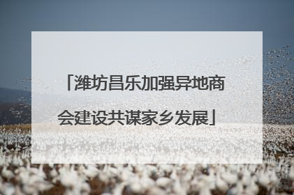 潍坊昌乐加强异地商会建设共谋家乡发展