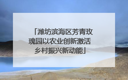潍坊滨海区芳青玫瑰园以农业创新激活乡村振兴新动能