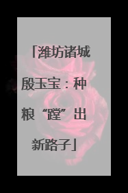 潍坊诸城殷玉宝：种粮“蹚”出新路子