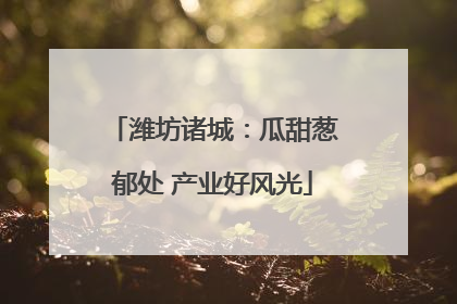 潍坊诸城：瓜甜葱郁处 产业好风光