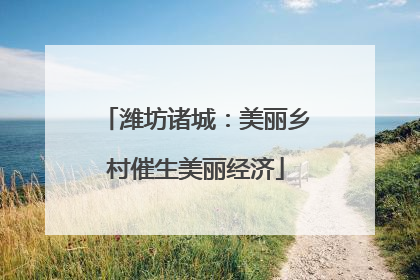 潍坊诸城：美丽乡村催生美丽经济