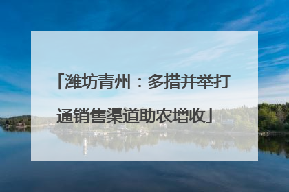 潍坊青州：多措并举打通销售渠道助农增收