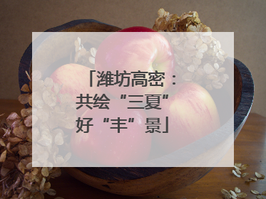 潍坊高密：共绘“三夏”好“丰”景