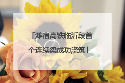 潍宿高铁临沂段首个连续梁成功浇筑