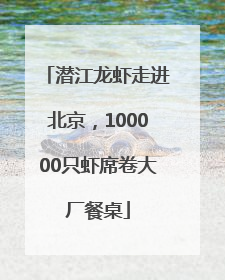 潜江龙虾走进北京，100000只虾席卷大厂餐桌