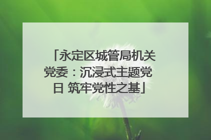 永定区城管局机关党委：沉浸式主题党日 筑牢党性之基