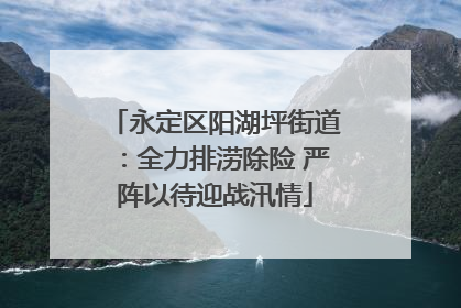 永定区阳湖坪街道：全力排涝除险 严阵以待迎战汛情