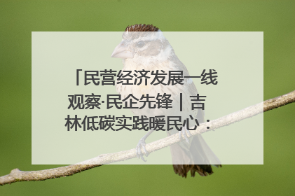 民营经济发展一线观察·民企先锋｜吉林低碳实践暖民心：太阳能供暖技术为北方清洁取暖破局