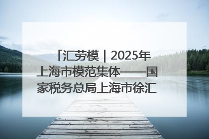 汇劳模｜2025年上海市模范集体——国家税务总局上海市徐汇区税务局第一税务所