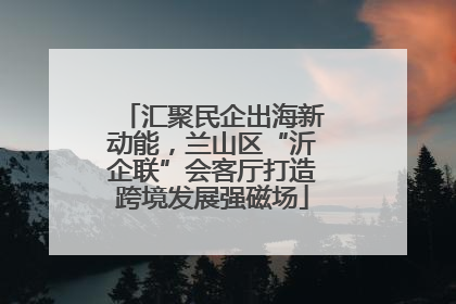 汇聚民企出海新动能，兰山区“沂企联”会客厅打造跨境发展强磁场