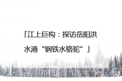 江上巨构：探访岳阳洪水港“钢铁水骆驼”