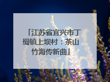 江苏省宜兴市丁蜀镇上坝村：茶山竹海传新曲