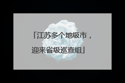江苏多个地级市，迎来省级巡查组