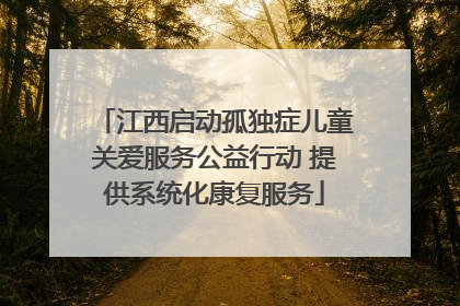 江西启动孤独症儿童关爱服务公益行动 提供系统化康复服务