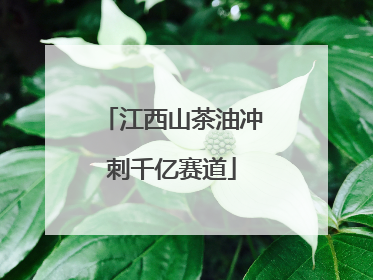 江西山茶油冲刺千亿赛道