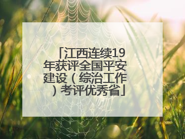 江西连续19年获评全国平安建设（综治工作）考评优秀省