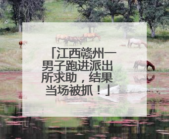 江西赣州一男子跑进派出所求助，结果当场被抓！