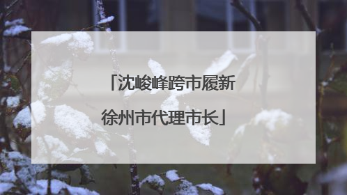 沈峻峰跨市履新徐州市代理市长