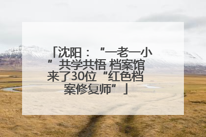 沈阳：“一老一小”共学共悟 档案馆来了30位“红色档案修复师”