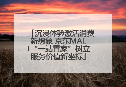 沉浸体验激活消费新想象 京东MALL“一站置家”树立服务价值新坐标