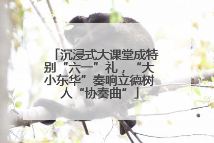沉浸式大课堂成特别“六一”礼，“大小东华”奏响立德树人“协奏曲”