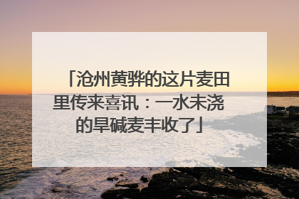 沧州黄骅的这片麦田里传来喜讯：一水未浇的旱碱麦丰收了