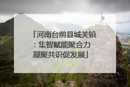 河南台前县城关镇：集智赋能聚合力 凝聚共识促发展